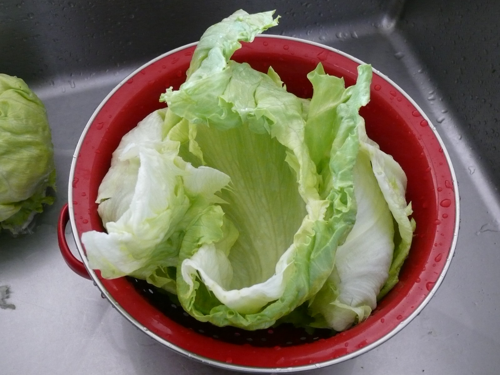 sushi salad lettuce cups