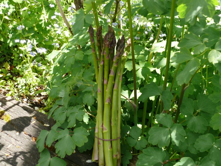 My Chunky Ravigote Sauce Fresh Kitchen