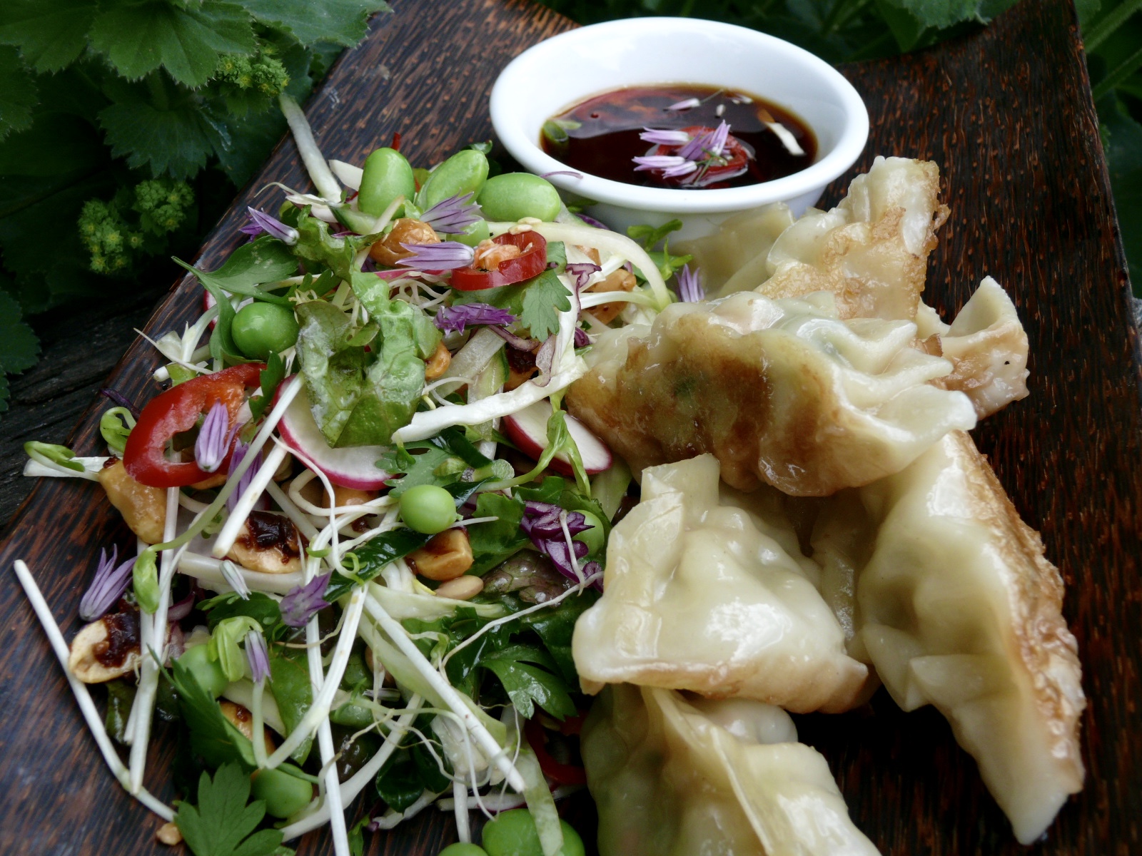 potstickers and crunchy asian salad