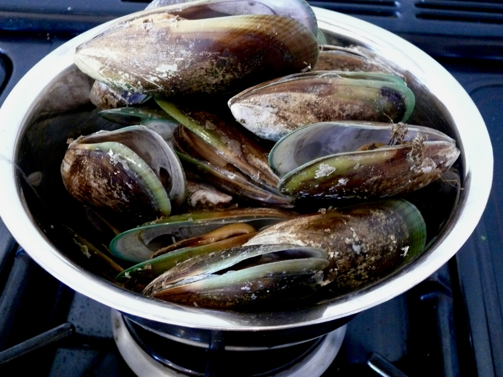 NZ green lip mussels