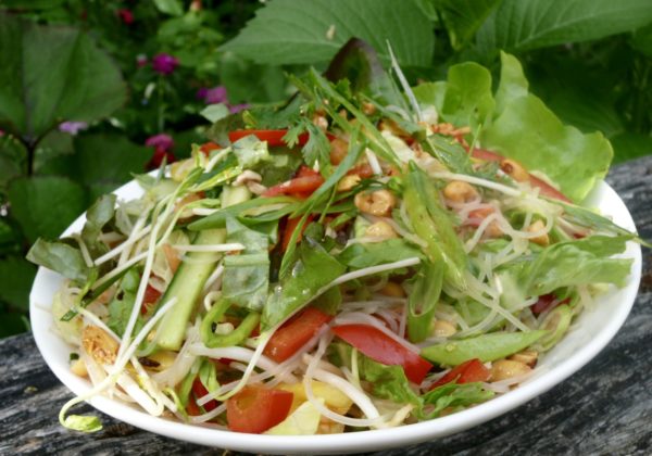 A Vietnamese Noodle Salad or Rice Paper Rolls | Fresh Kitchen